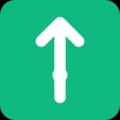 Tea App Green Flags